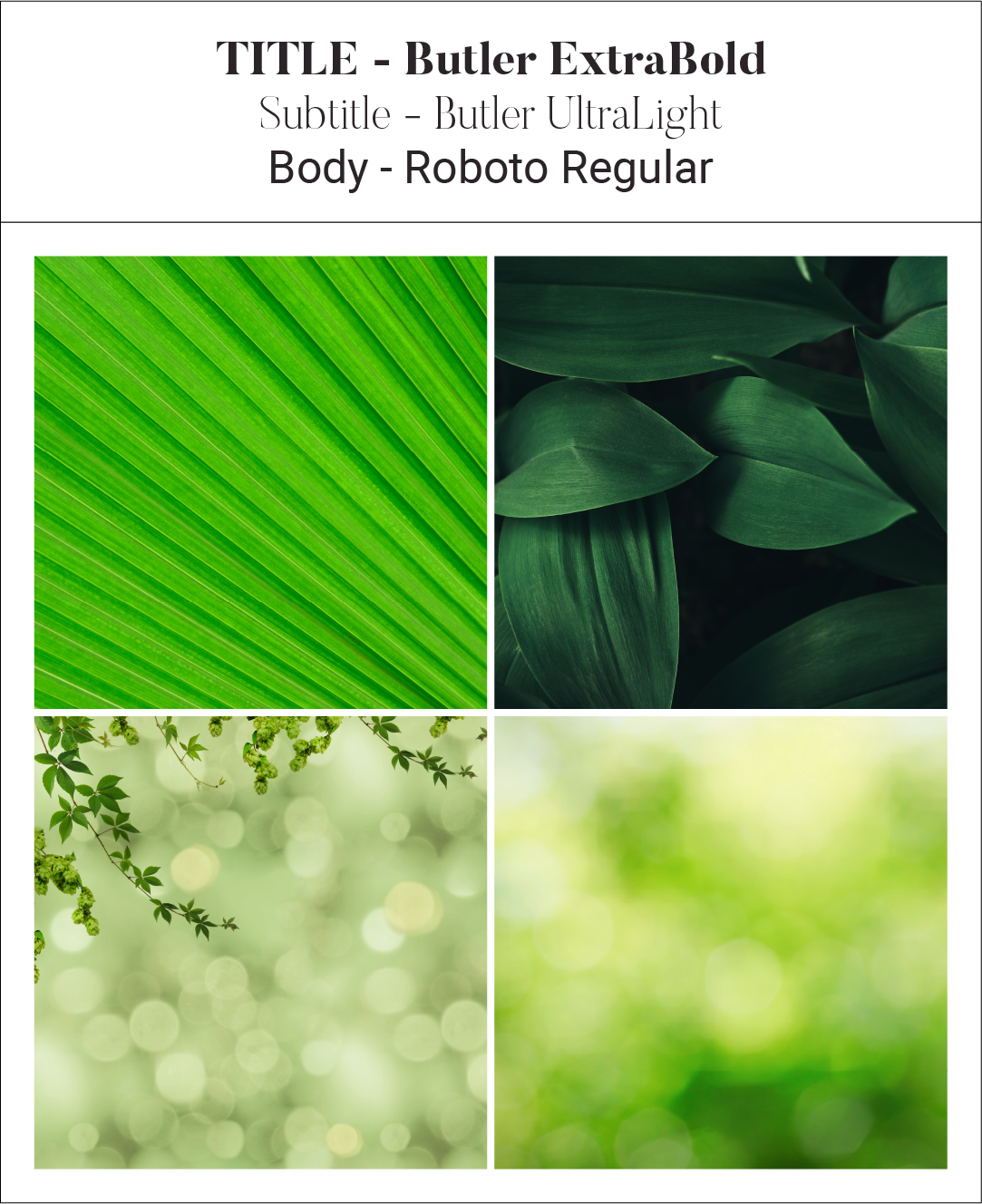 CA05: Design elements 02